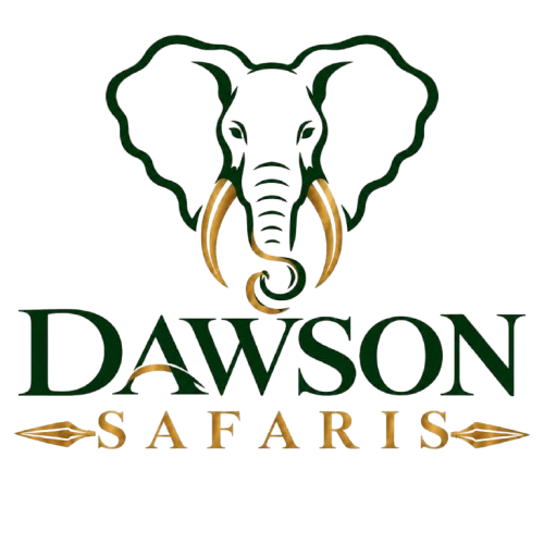 Dawson Safaris logo